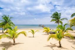 Dream Beach Home! Snorkel reef off 400' dock!