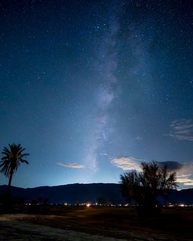 Sunnylands gardens in Rancho Mirage