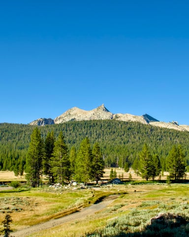 Sonora Pass when it opens