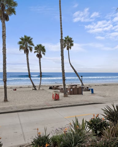 Torrey Pines, the high-trail loop