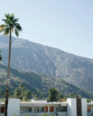 El Paseo and the Hwy 111 design walk