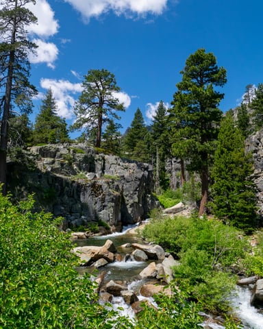 Eagle Falls trail