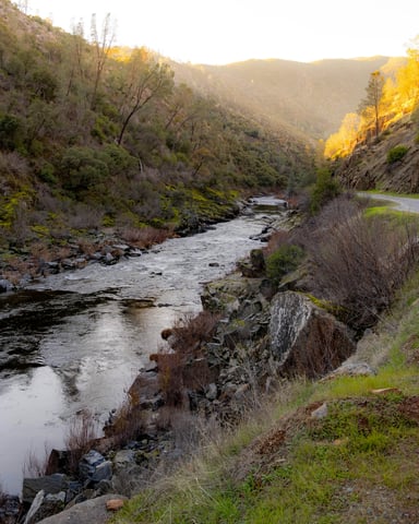 Trout mornings on the West Walker