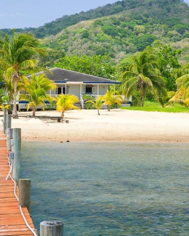 Dock and Beach