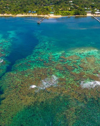 Snorkeling and Diving