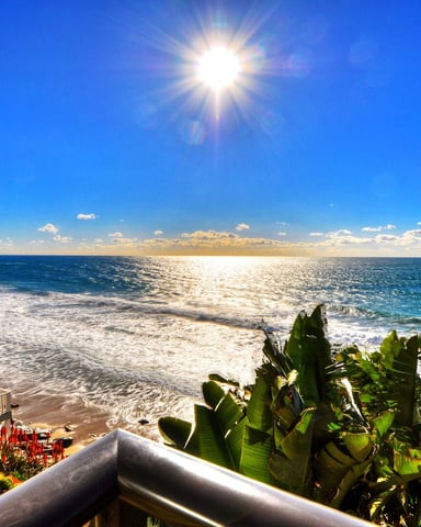 Steps from the Ocean